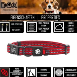 DDOXX Hundehalsband Nylon, reflektierend, verstellbar, gepolstert,Blau, S - B-Ware sehr gut