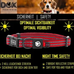 DDOXX Hundehalsband Nylon, reflektierend, verstellbar, gepolstert,Blau, S - B-Ware sehr gut
