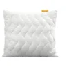 Emma Kopfkissen Aloe Vera, 80 x 80 cm - B-Ware sehr gut